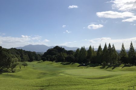 今日は、第3火曜日で定休日となります！